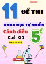 Tuyển tập 11 Đề thi cuối Kì 1 môn Khoa Học 5 Cánh Diều (Kèm đáp án)